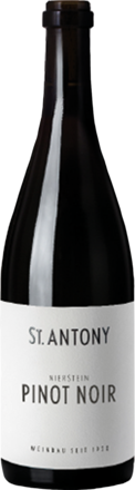 St Antony Nierstein Pinot Noir Erste Lage Trocken, Rheinhessen 2022