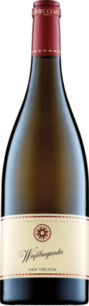 Van Volxem Weißburgunder Trocken, Mosel 2024