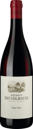 Pinot Noir Trocken, Niederösterreich 2021