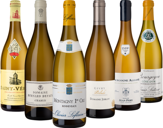 Bourgogne Blanc Collection 6 Flaschen