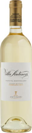 Pinot Bianco Toscana IGT 2024