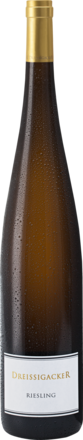 Dreissigacker Riesling Trocken,Rheinhessen, Magnum 2024