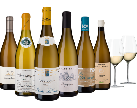 Bourgogne Collection "Tradition vs Moderne" 6 Fl. und Zwiesel Grand Cru Weißweinglas, 2er Set