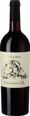 Carménère Più Veneto Rosso IGT 2023