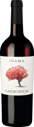 Carminium Carménère Colli Berici DOC 2022