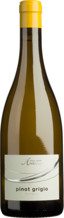 Cantina Andrian Pinot Grigio Alto Adige DOC 2025