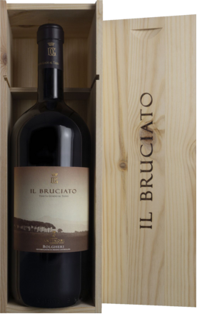 Il Bruciato Bolgheri DOC Magnum 2024