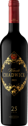 Viñedo Chadwick Valle del Maipo 2023