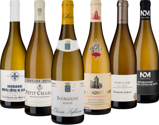 Bourgogne Blanc Entdeckercollection 6 Flaschen zum Sonderpreis