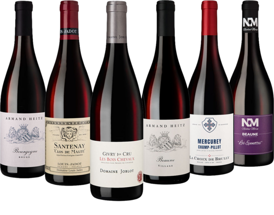 Bourgogne Rouge Entdeckercollection 6 Flaschen zum Sonderpreis
