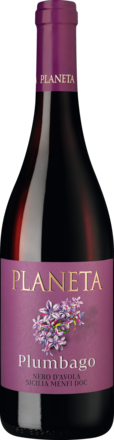 Plumbago Nero d'Avola Menfi Sicilia DOC 2023