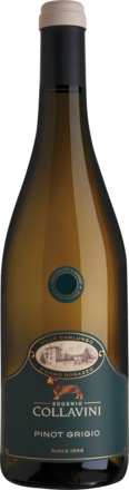 Collavini Villa Canlungo Pinot Grigio Friaul DOC 2025