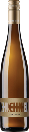 Stadtmauer Riesling Trocken, Pfalz 2025