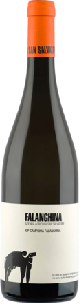 San Salvatore Falanghina Bianco Campania IGP 2025