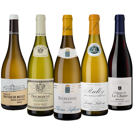 Burgund Probierpaket 5 Fl.