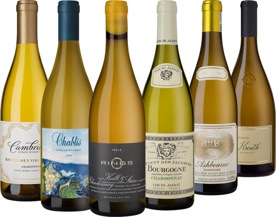 Chardonnay Collection 6 Flaschen zum Sonderpreis