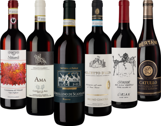 Italien Rotwein Entdeckercollection 6 Flaschen zum Sonderpreis