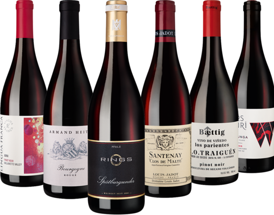 Pinot Noir Collection 6 Flaschen zum Sonderpreis