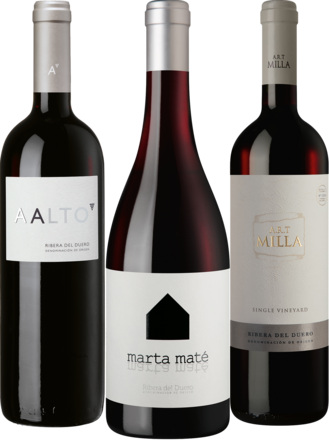 Ribera del Duero Collection 3 x 2 Flaschen zum Sonderpreis