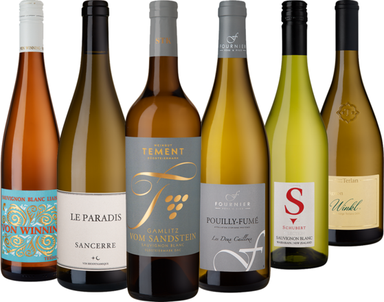 Sauvignon Blanc Collection 6 Flaschen zum Sonderpreis