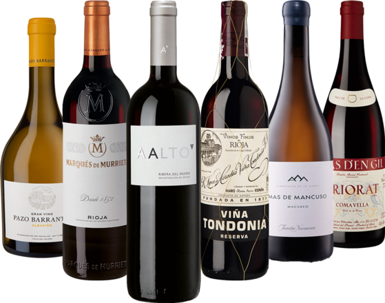 Spanien Connaisseur-Paket 6 Flaschen zum Kennenlernpreis