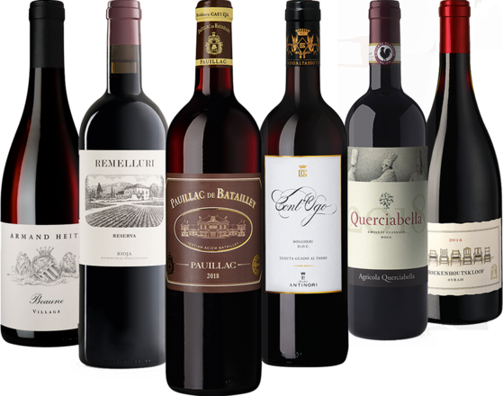 Lou&#39;s Weinkurs - Top 6 rote Rebsorten 6 Flaschen