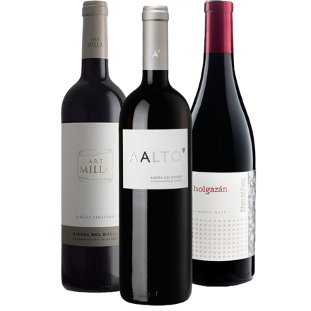 Ribera del Duero Entdeckerpaket Top Value 3 Fl.