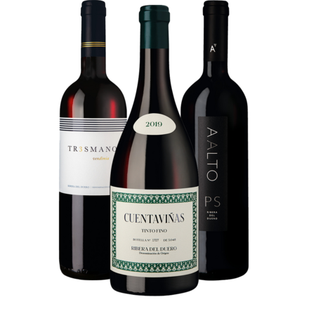 Ribera del Duero Entdeckerpaket Ikonen 3 Fl.