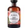Dr. Jaglas San Pompello Grapefruit Alkoholfreier Aperitif, 0,5 L pfandfrei