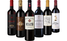 Bordeaux Entdeckerpaket 6 Flaschen zum Kennenlernpreis