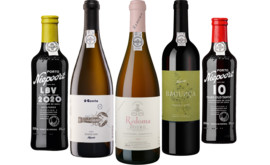 Niepoort Entdecker Collection 5 Flaschen