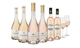 Rosé-Collection 3x2 Fl. und Zwiesel Sauvignon Blanc Glas