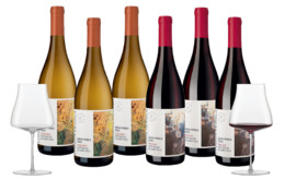 Lingua Franca Paket mit The Moment 2x3 Flaschen + Gläser The Moment 2er Set