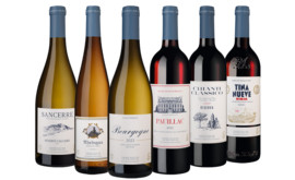 Das Tesdorpf Selection Paket 6 Fl.