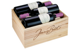 Château Joanin Bécot Côtes de Castillon AOP, 6er Holzkiste 2019