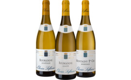 Olivier Leflaive Collection 3 x 2 Flaschen zum Sonderpreis