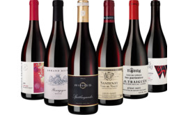 Pinot Noir Collection 6 Flaschen zum Sonderpreis