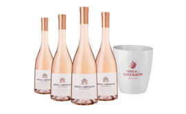 Rosé-Paket 4 Fl. + Kühler