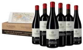 Lindes de Remelluri Collection Rioja DOCa, Sammlerbox mit 6 Weinen 2020