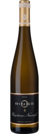 Ungsteiner Nussriegel Riesling Erste Lage Trocken, Pfalz 2021