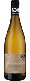 Les Ecrivains Aligoté Bourgogne Aligoté AOP 2022