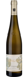 Ölberg Riesling GG Trocken, Rheinhessen 2022