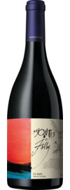 Montes Folly Syrah Valle Central 2020