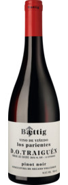 Vino de Viñedo Los Parientes Pinot Noir DO Traiguén 2023