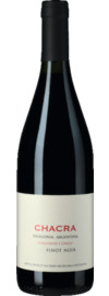 Cincuenta y Cinco Pinot Noir Rio Negro, Patagonia 2023