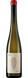 Amphora Riesling Wachau, Trocken 2022