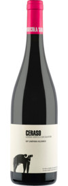 San Salvatore Ceraso Aglianico Campania IGP 2022