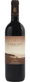 Il Bruciato Bolgheri DOC 2023