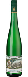 Riesling vom Schiefer Trocken, Mosel 2024