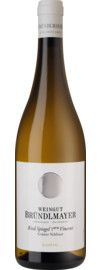 Ried Spiegel Vincent Grüner Veltliner Kamptal DAC, Erste Lage 2023